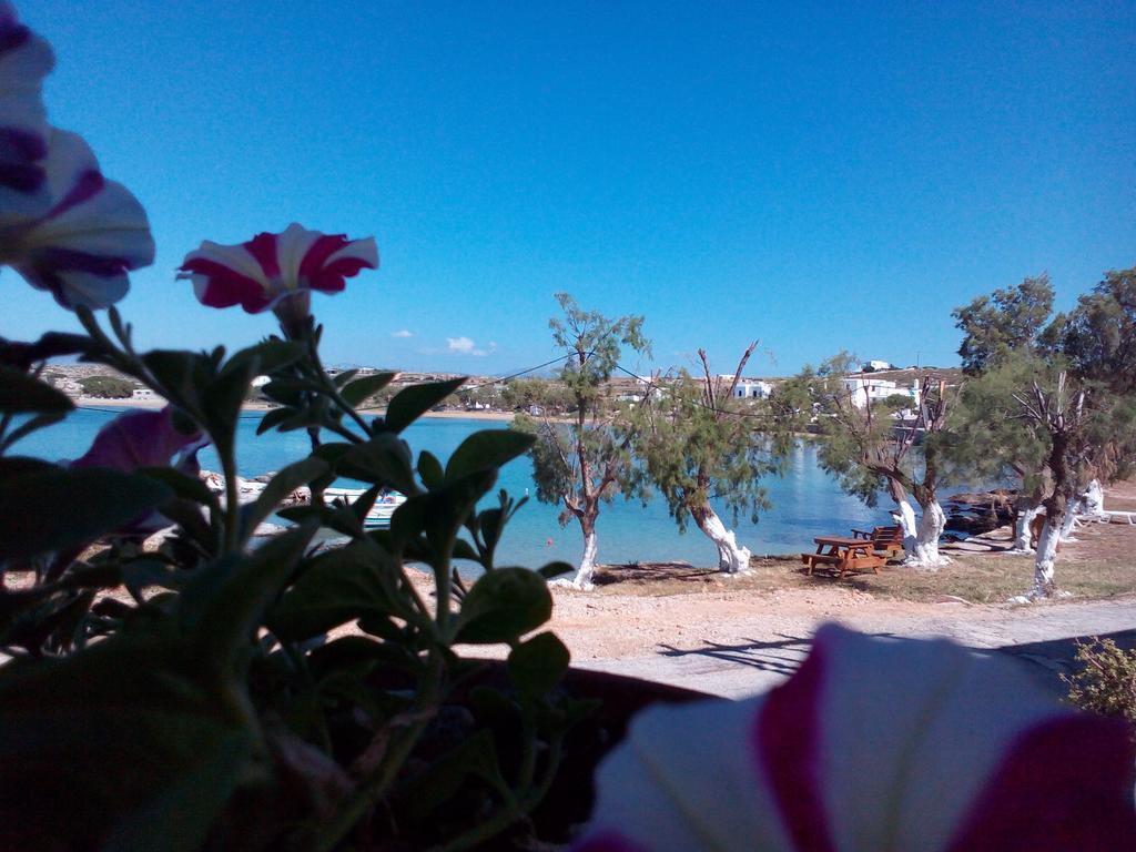 Hotel Bocamviglies By The Sea Naoussa Exterior foto