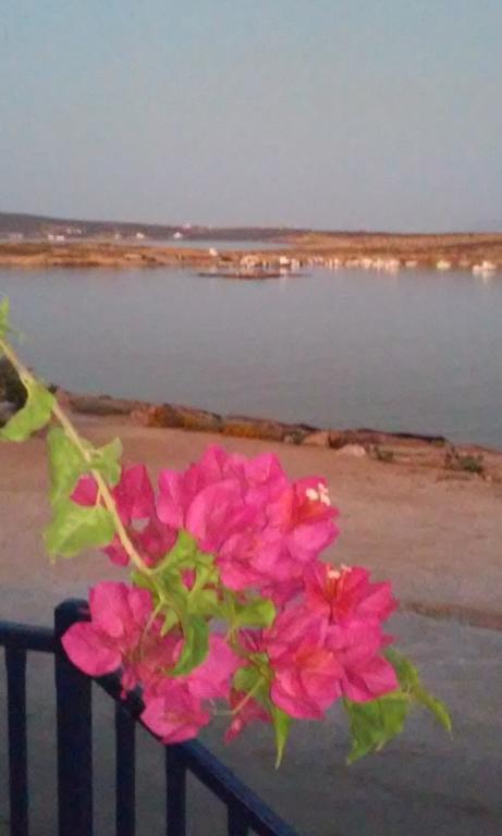 Hotel Bocamviglies By The Sea Naoussa Exterior foto